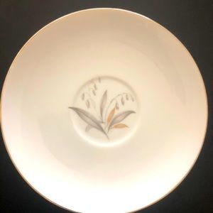 Saucer - Golden Rhapsody